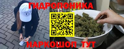 ГАЛЛЮЦИНОГЕННЫЕ ГРИБЫ Татарск