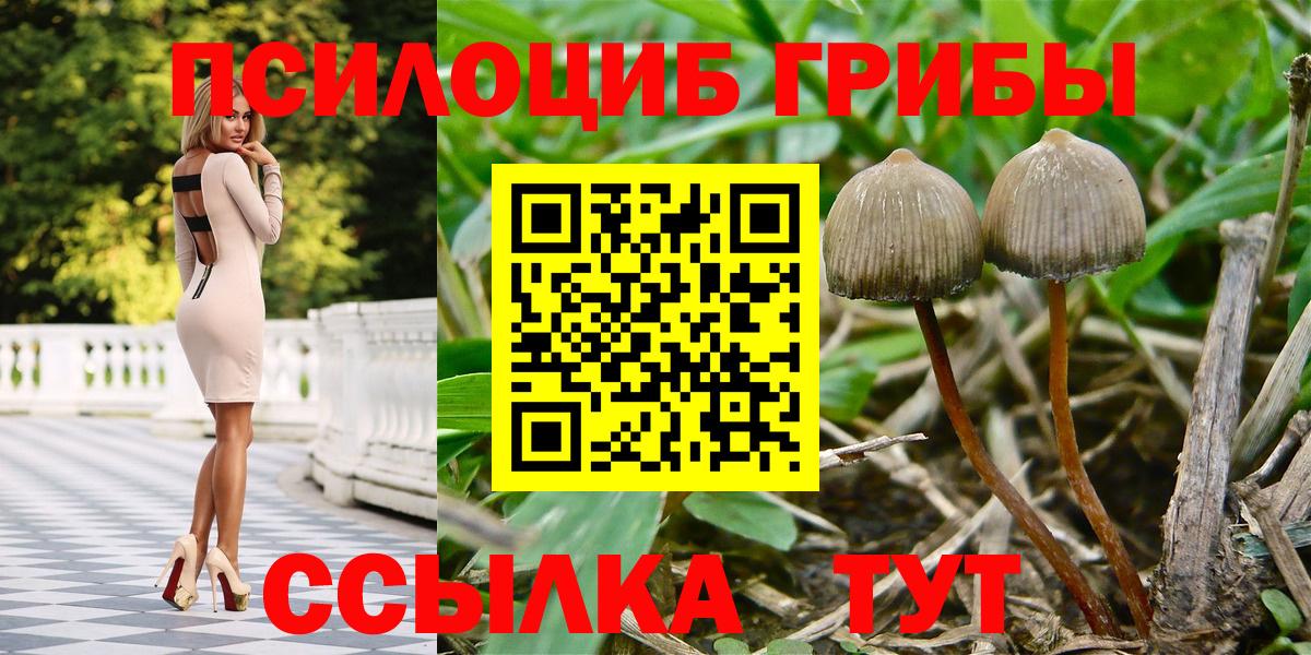 Ревда  купить   Вход с VPN  Галлюциногенные грибы мухоморы  Галлюциногенные грибы Magic Shrooms 